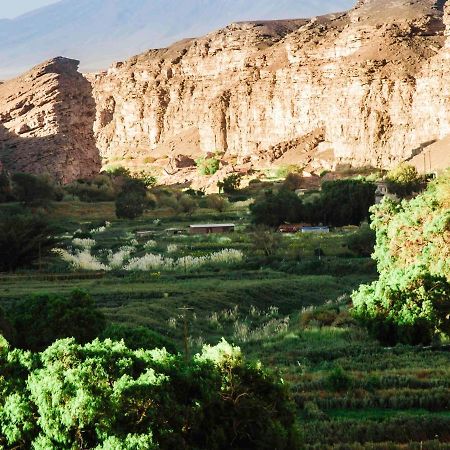 Ibis كالاما المظهر الخارجي الصورة